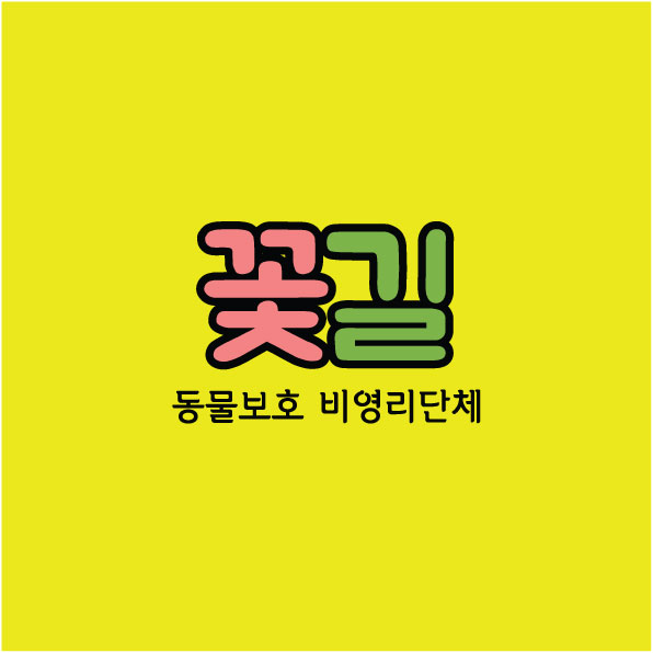 동*보* 꽃*