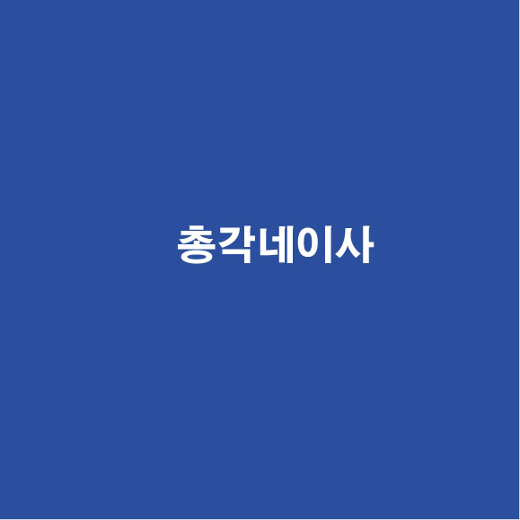 총각네이사